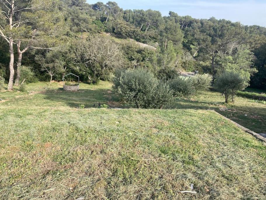 Magnifique Villa De Luxe Au Coeur De La Garrigue Nîmes Dış mekan fotoğraf